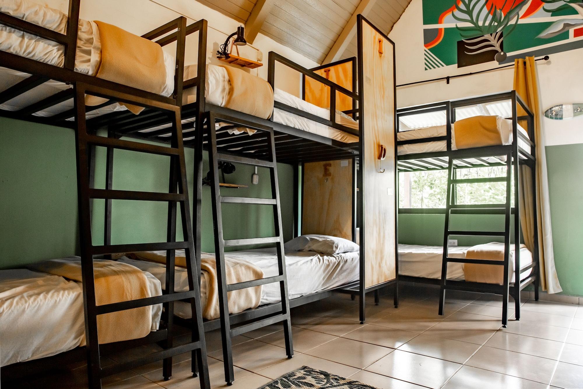 Selina Hotel 3*